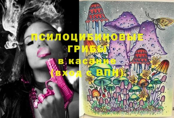 спиды Краснослободск