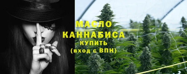 спиды Краснослободск